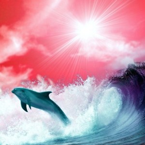 Listen to Stoopid song with lyrics from Wave Racer