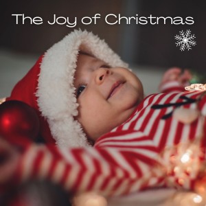 Various  Artists的专辑The Joy of Christmas