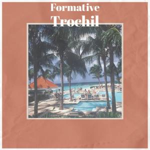 Album Formative Trochil from Various
