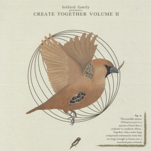 Album create together vol.2 (Explicit) from bitbird