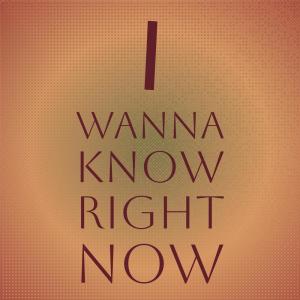 Album I Wanna Know Right Now from Silvia Natiello-Spiller