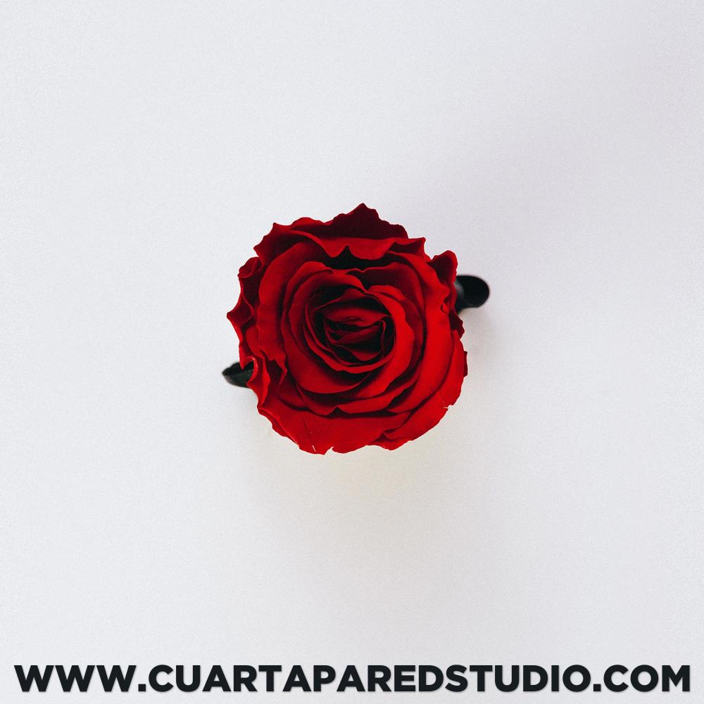 Tu Cancion Drill (Instrumental Drill Romantico)
