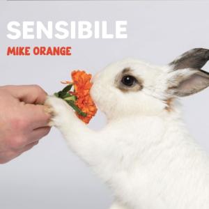 Mike Orange的專輯Sensibile (Explicit)