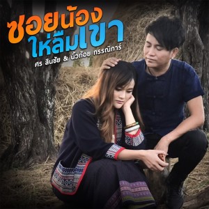 Listen to ซอยน้องให่ลืมเขา song with lyrics from ศร สินชัย