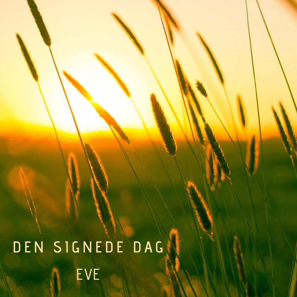 Den signede dag (Arranged by Kraja)