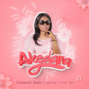 Listen to Akedara song with lyrics from Olubunmi Dada