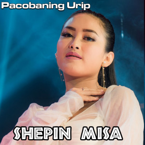 Dengarkan lagu Pacobaning Urip nyanyian Shepin MIsa dengan lirik