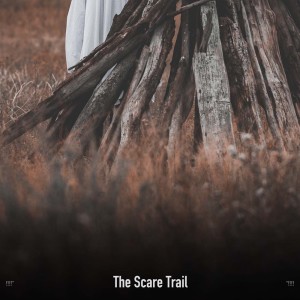 Album !!!!" The Scare Trail "!!!! from Halloween Music