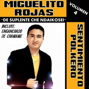 Album De Suplente Che Ndaikosei - Volumen 4 oleh Miguelito Rojas y Su Sentimiento Polkero