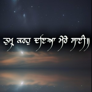 Album Tum Karho Daya Mere Sayi oleh Harlove Singh