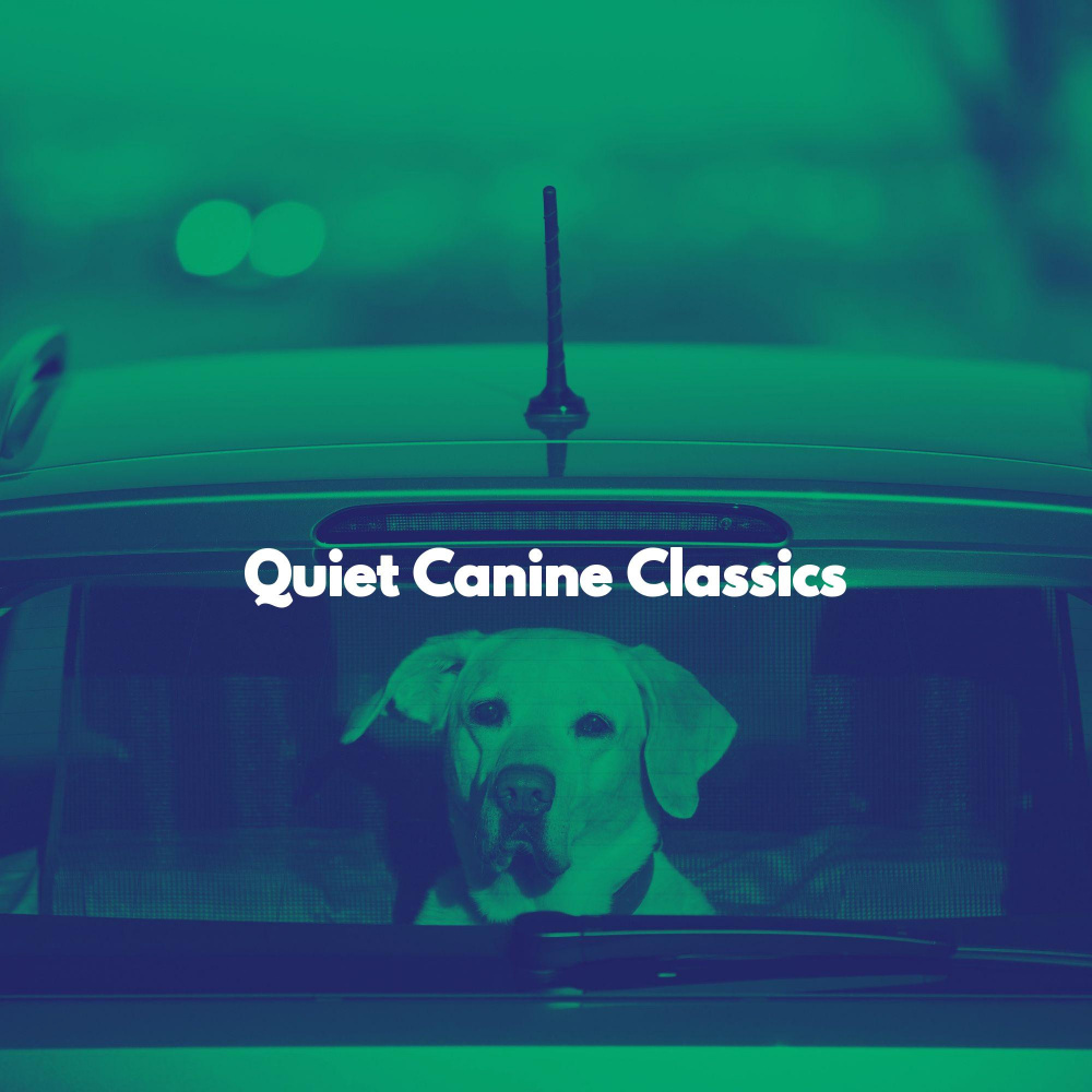 Sensational Ambiance for Sleep and Puppies