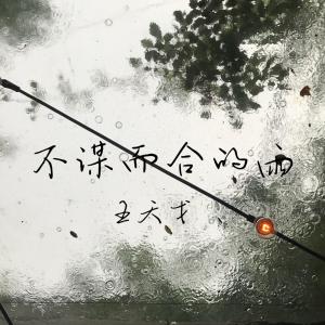 Album 不谋而合的雨 from 王天戈