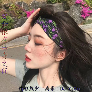 收聽精彩熊少的爆了(DanceMix)歌詞歌曲