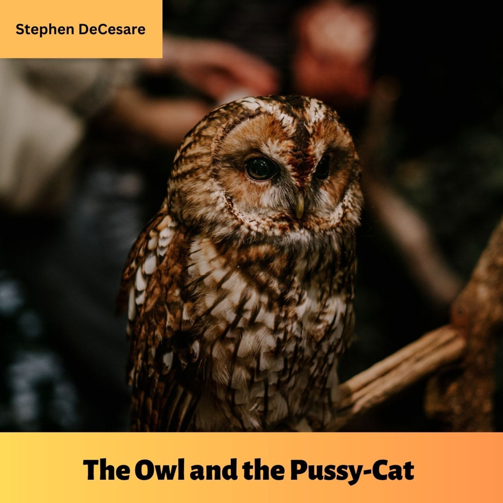 The Owl and the Pussy-Cat