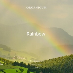 Organicum的专辑Rainbow
