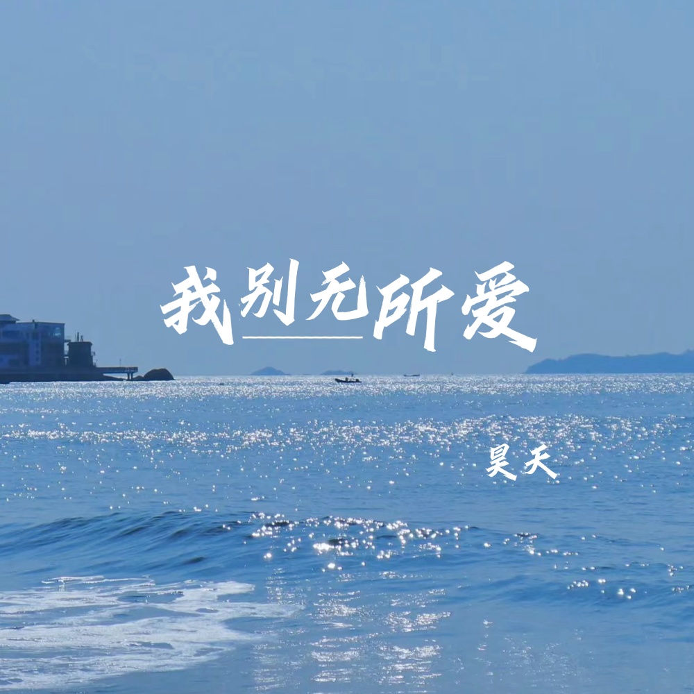 我别无所爱 (伴奏)
