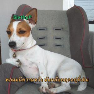 收聽SixthyP的Hopeless歌詞歌曲