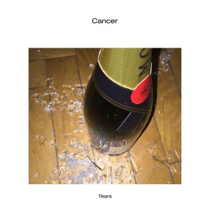 ดาวน์โหลดและฟังเพลง Tears พร้อมเนื้อเพลงจาก Cancer
