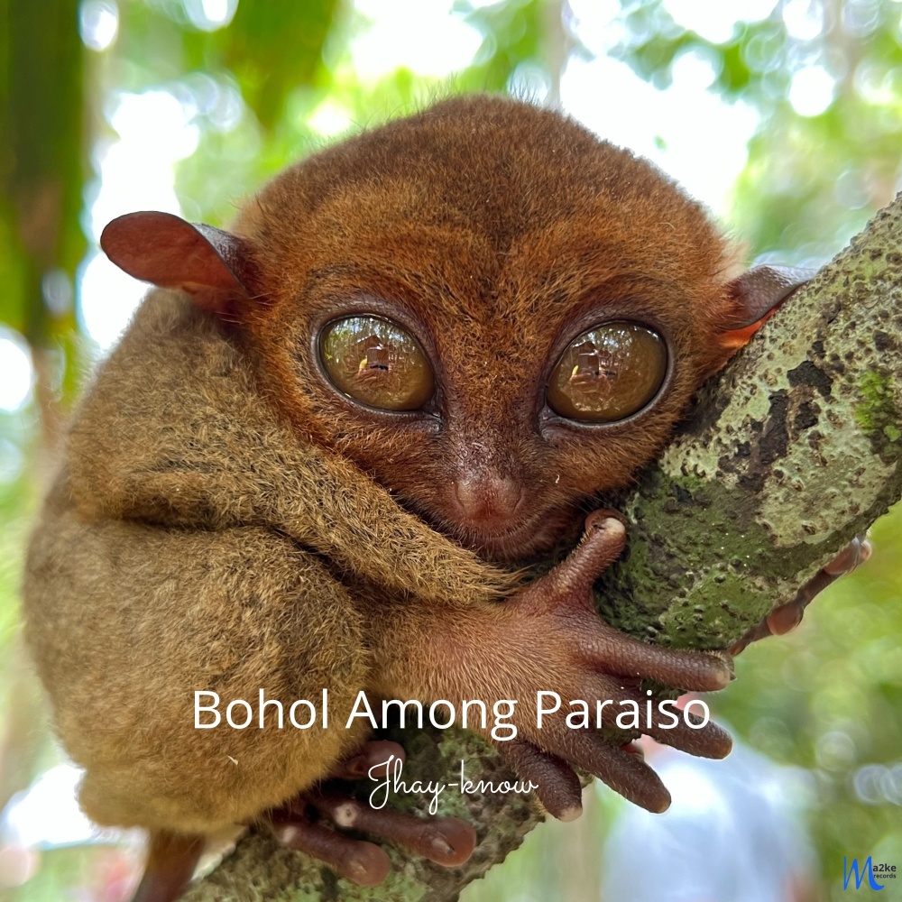 Bohol Among Paraiso