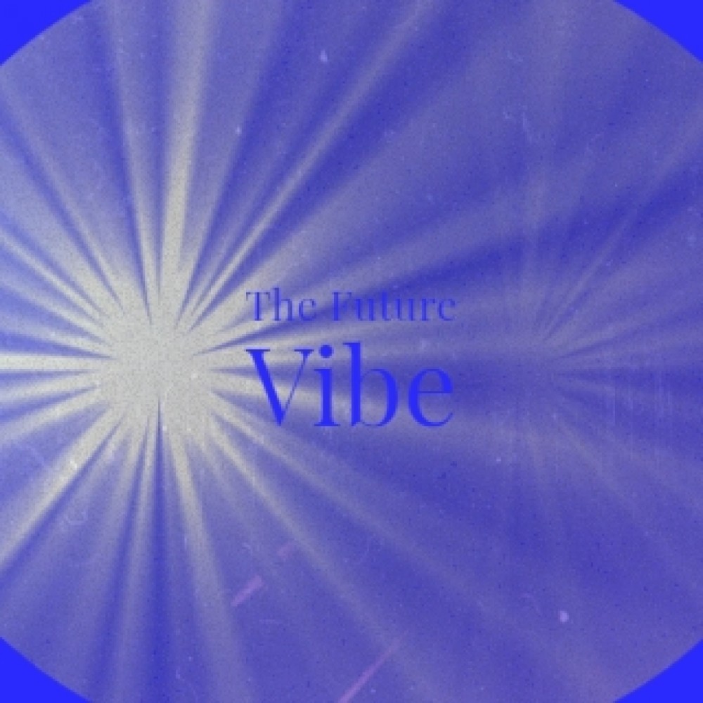 The Vibe 2013 (Ric-E Remix)