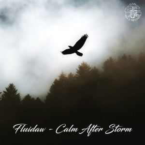 Listen to Calm After Storm song with lyrics from Fluidaw