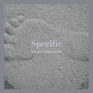 ดาวน์โหลดและฟังเพลง Specific Impermanent พร้อมเนื้อเพลงจาก Lawan Woen