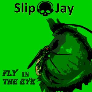 ดาวน์โหลดและฟังเพลง Sad Truth พร้อมเนื้อเพลงจาก Slip Jay