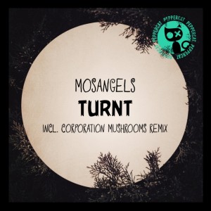 Listen to Turnt (Corporation Mushrooms Remix) song with lyrics from MosAngels