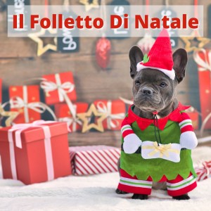 Various  Artists的專輯Il Folletto Di Natale