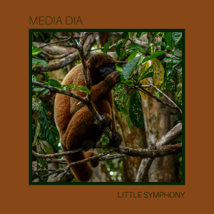 ดาวน์โหลดและฟังเพลง Larghissimo พร้อมเนื้อเพลงจาก Little Symphony