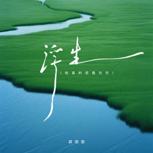 Album 浮生 (DJ版) from 薛朋朋