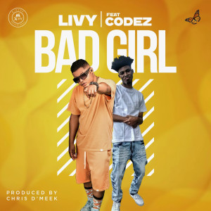 Listen to Bad Girl song with lyrics from Livy