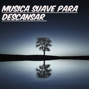 Album Musica Suave para Reflexionar from 