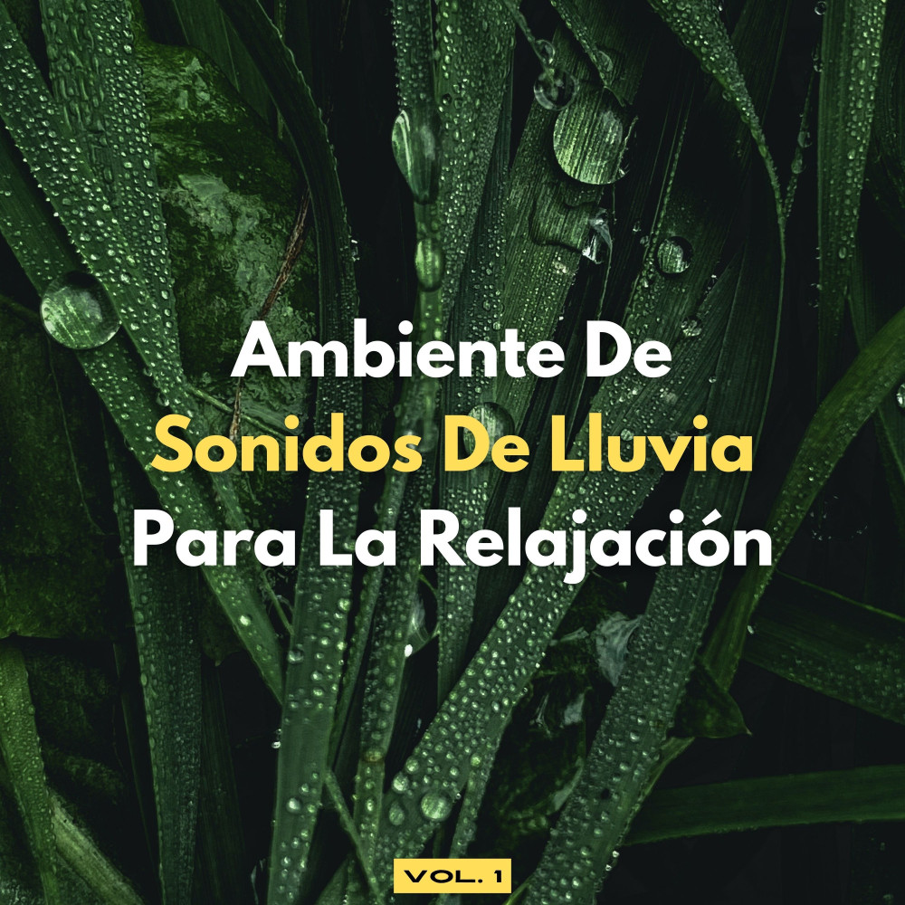Relajación Ventosa De Una Tormenta