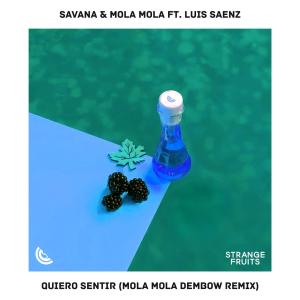 Album Quiero Sentir (feat. Luis Saenz) [Mola Mola Remix] from Savana