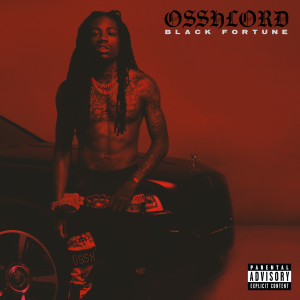 ดาวน์โหลดและฟังเพลง Soulja Rag (Explicit) พร้อมเนื้อเพลงจาก Black Fortune