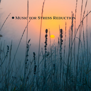 Listen to Mysterious Time song with lyrics from Gentle Instrumental Music Paradise