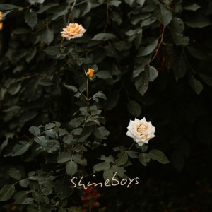 Album กุหลาบขาว oleh Shineboys