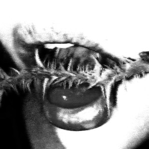 Album Kisss (Explicit) from Sghenny