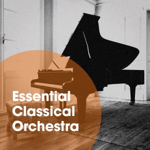 อัลบัม Essential Classical Orchestra ศิลปิน Classical Study Music Ensemble