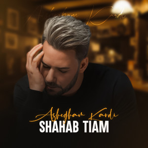 Album Ashegham Kardi from Shahab Tiam