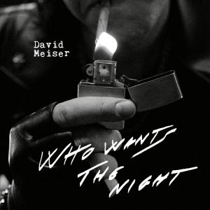 收聽David Meiser的Who Wants The Night (Abiz Sonko Remix) (Explicit) (Abiz Sonko Remix|Explicit)歌詞歌曲