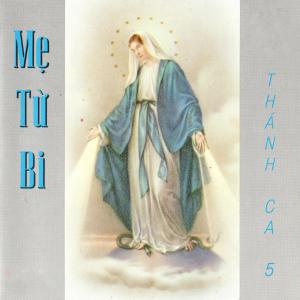 ดาวน์โหลดและฟังเพลง Tâm Ca Dâng Mẹ พร้อมเนื้อเพลงจาก Lệ Hằng