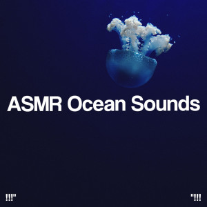 Album !!!" ASMR Ocean Sounds "!!! from Ocean Sounds