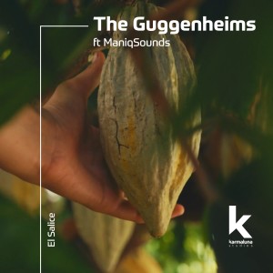 ดาวน์โหลดและฟังเพลง El Salice พร้อมเนื้อเพลงจาก The Guggenheims