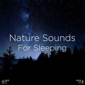 收聽Yoga的Sleep Music Relax歌詞歌曲