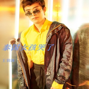 Listen to 泰国女孩哭了 (伴奏) song with lyrics from 王羽泽