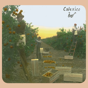 ดาวน์โหลดและฟังเพลง Hitch พร้อมเนื้อเพลงจาก Calexico