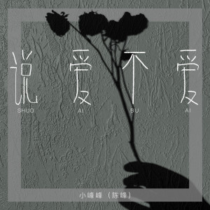 收聽小峰峰（陳峰）的說愛不愛歌詞歌曲