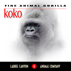 The Laurel Canyon Animal Company的專輯Koko - Fine Animal Gorilla